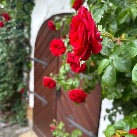 Cosy Historic Brewery With Beautiful Outdoor Space Rattelsdorf